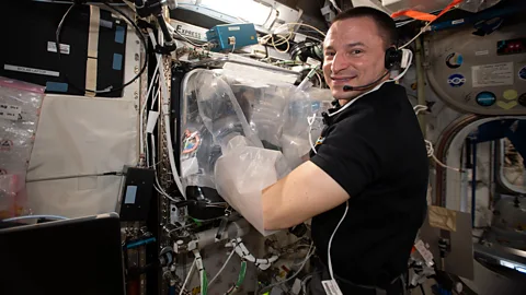 Nasa Experiments conducted on the International Space Station by Andrew Morgan showed organs could be printed a low gravity environment (Credit: Nasa)