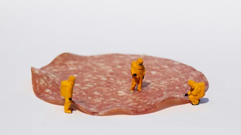 Getty Images Model scientists on slice of salami (Credit: Getty Images)