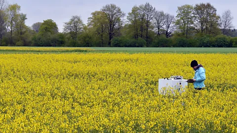 Getty Images Microbes in the soil break ammonia down through a series of reactions, releasing N2O in the process, which can be measured in the field (Credit: Getty Images)
