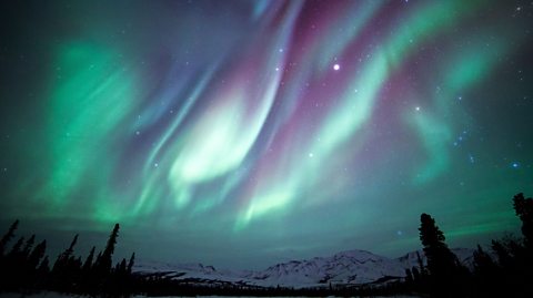 A photograph of the Northern Lights in Alaska. There are silhouetted trees in the foreground with light of green, purple and blue in a wave pattern above.