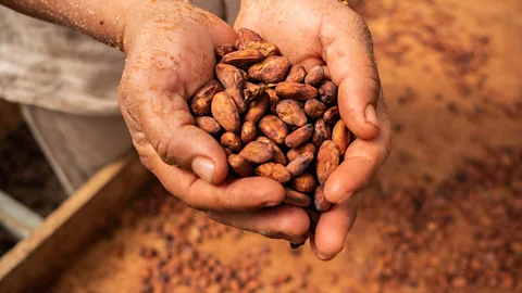 Mauricio Palos/Bloomberg/Getty Images The chocolate we enjoy today is a much more processed and refined food than the one enjoyed by the Aztecs centuries ago (Credit: Mauricio Palos/Bloomberg/Getty Images)