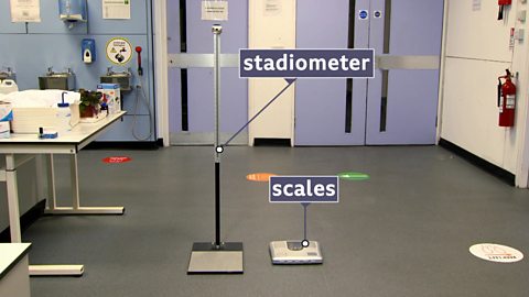Higher Human Biology - Blood glucose levels and obesity