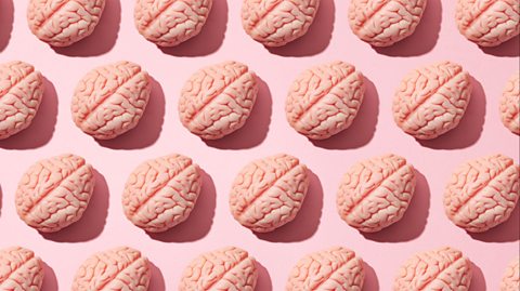 Brains on a pink background