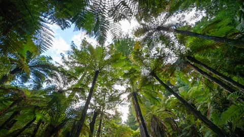 Alamy (Credit: Alamy)