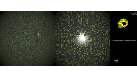 Invisible Flock/The British Library Faint Signals, by interactive arts studio Invisible Flock, allows visitors to scroll over pixels representing woodland and unlock sounds corresponding to the real-life landscape