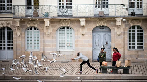 Loic Venance/AFP/Getty Images Studies have shown that gulls prefer food that has been touched by humans, but this can also lead them to be a nuisance in some places (Credit: Loic Venance/AFP/Getty Images)
