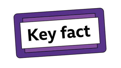 A label which says 'key fact'