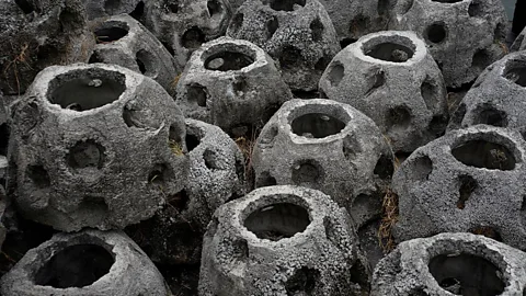 Orlando Estrada/Getty Images A rare time where concrete works with nature: balls designed to foster reef growth offshore at Puerto Quetzal, in Guatemala (Credit: Orlando Estrada/Getty Images)