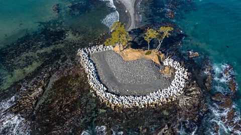 Carl Court/Getty Images Concrete "tetrapods" protect a tidal island from the ocean in Kesennuma, Japan (Credit: Carl Court/Getty Images)