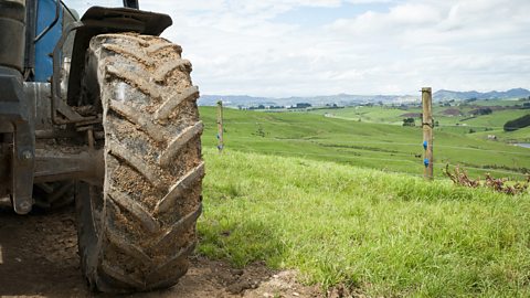 Tractor tyre