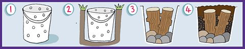 A cartoon illustration showing the four steps for making a beetle bucket