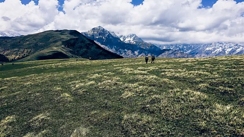 Mayank101/Getty Images The trek passes through alpine pastures that can only be found above 3,300m in the Himalayas (Credit: Mayank101/Getty Images)