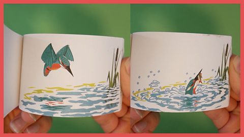 Hands flipping through a flipbook animation of a kingfisher diving into the water