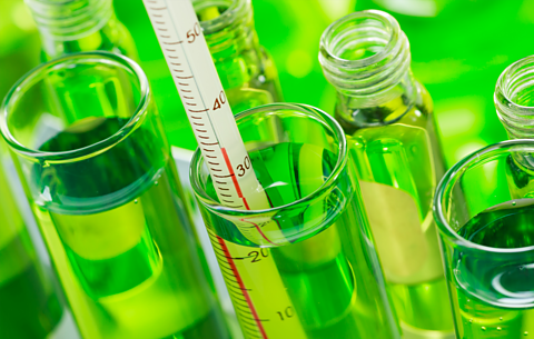 A photo of test tubes on a green background. They have liquid in them. One of them contains a thermometer.