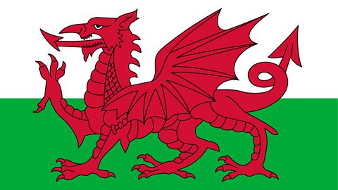 Focus image: a Welsh flag