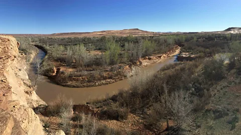 Emma Doden The San Rafael River is one place in Utah's desert where beaver populations can be supported, helping to restore the ecosystem (Credit: Emma Doden)