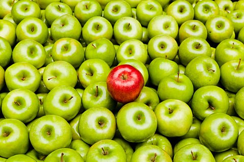 A photo of green apples - There is one red apple in the middle of the green apples.