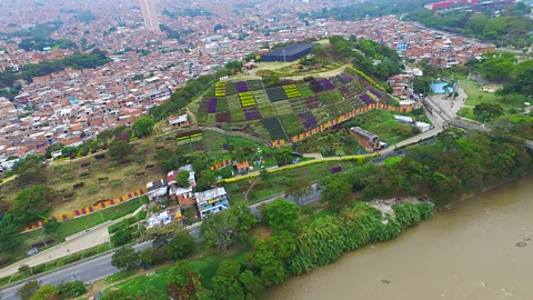Colombia's buzzing comeback city