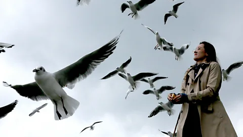 Getty Images Having an embodied experience with birds or other wildlife can encourage young people to be interested in and learn about nature (Credit: Getty Images)