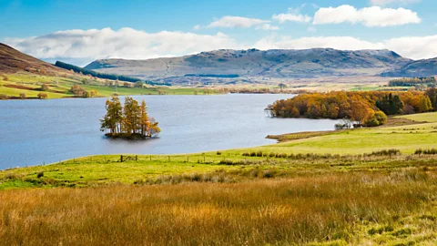 Max Blinkhorn/Alamy Trees growing on a crannog on Loch Freuchie, Perthshire, Scotland