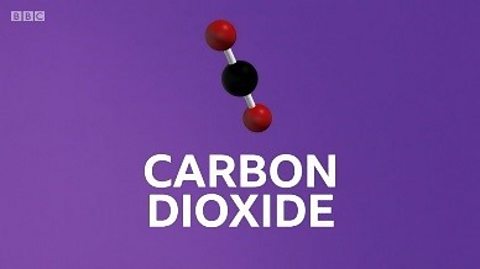 Carbon dioxide molecule