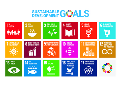 The 17 UN Sustainable Development Goals