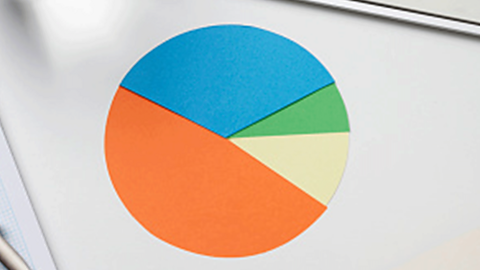 An example of what a pie chart looks like.