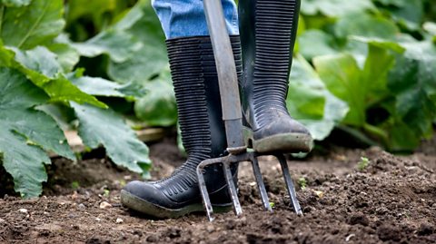 Person digging allotment