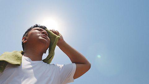 A man struggles with the hot weather. He is sweating and wiping his forehead.