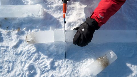 An ice core is a cylinder of ice. Here, a scientist is slicing the cylinder in half to study the gases and air bubbles within.