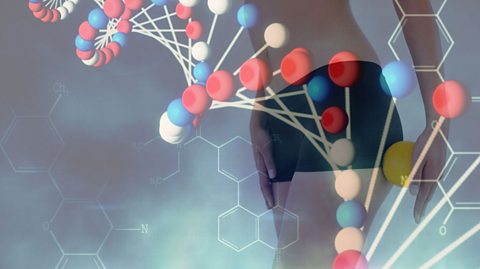 Visualisation of genetic sequencing