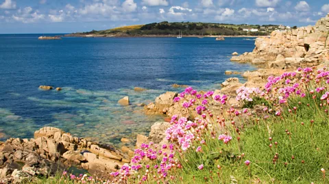 David Chapman/Alamy Flowers and ocean from St Marys, Isles of Scilly