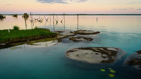Gerard Puigmal/Getty Images The lake is home to an ancient population of stromatolites that are the oldest evidence of life on Earth (Credit: Gerard Puigmal/Getty Images)