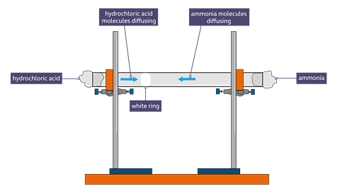 Hydrochloric acid ammonia experiment