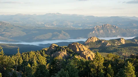 Kate Schoenbach Pike National Forest is a prime example the wild splendour found in America's west (Credit: Kate Schoenbach)