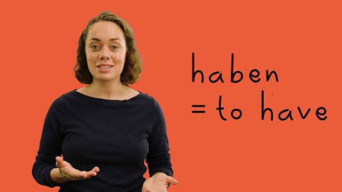 How to use the verb ‘to have’ in German