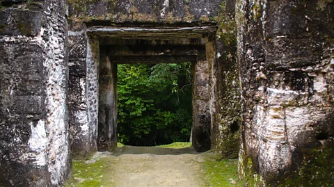 Hvalar/Getty Images Home to as many as 240,000 people at its 8th Century peak, the site was abandoned around 900 AD (Credit: Hvalar/Getty Images)