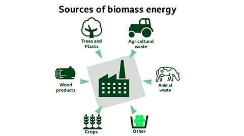 Examples of Biomass