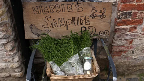 Laurence Mitchell At its best between June and August, samphire is a beloved seasonal delicacy around the Norfolk coast (Credit: Laurence Mitchell)