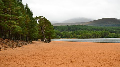 Cairngorms National Park: Landscapes & Scenery