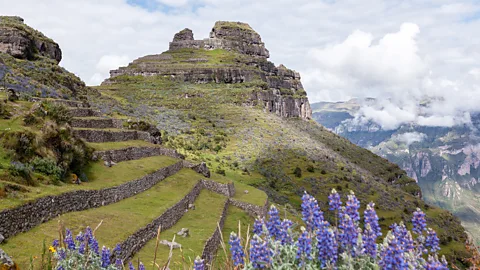 David Mendoza Valdivia/Getty Images Waqra Pukará (Quechua for "horned fortress") sits at an elevation of 4,100m, nearly twice as high as Machu Picchu (Credit: David Mendoza Valdivia/Getty Images)