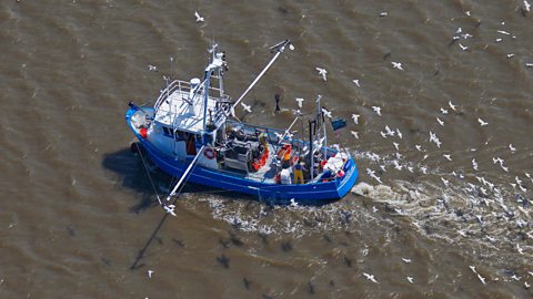 A fishing boat at sea