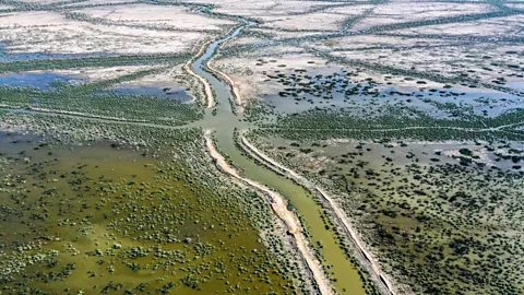 Asaad Niazi/AFP/Getty Images Drought combined with reduced river flows due to dams further upstream are starving the marshlands in Iraq's Ahwar region of water (Credit: Asaad Niazi/AFP/Getty Images)