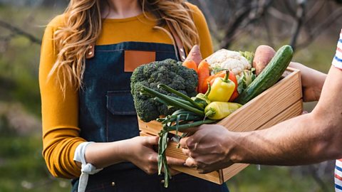 People passing box of allotment veg between them.