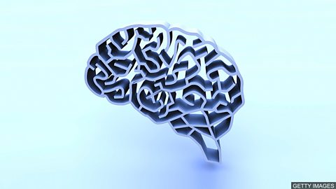c Learning English 媒体英语 Algae Proteins Partially Restore Man S Sight 藻类蛋白帮助男子恢复部分视力 c Learning English 媒体英语 Algae Proteins Partially Restore Man S Sight 藻类蛋白帮助男子恢复部分视力