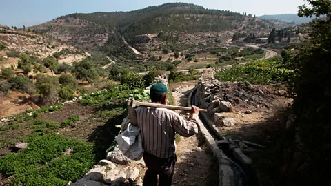 Eddie Gerald/Alamy The village of Battir has been recognized by Unesco for its ancient agricultural terracing and irrigation systems (Credit: Eddie Gerald/Alamy)