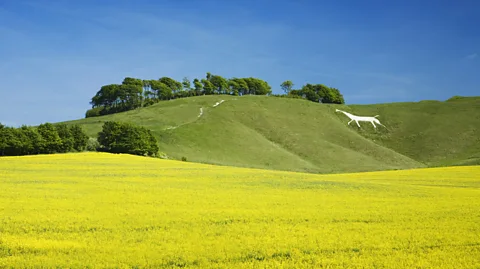 James Osmond/Getty Images Carved into the chalky hillside, the Cherhill white horse is the second oldest of Wiltshire's iconic horse figures (Credit: James Osmond/Getty Images)