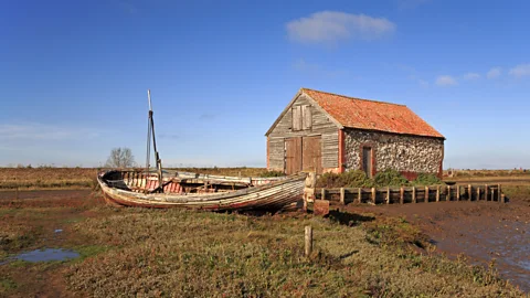 Getty Images Salt marshes are richly biodiverse habitats and they can hold significant stores of carbon (Credit: Getty Images)
