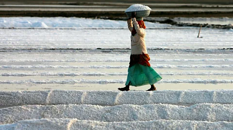 Alamy Today, the majority of India's salt comes from the west of the country and no one has to smuggle it across any hedges (Credit: Alamy)