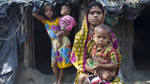 The unlikely protector against Bangladesh's rising seas